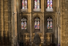 A life size model of a T.rex in the North Transept, part of the Natural History Museum's touring  exhibition, T.rex: The Killer Question. Photo: Graham Williams