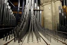 Some of the 5286 pipes of Peterborough Cathedral organ